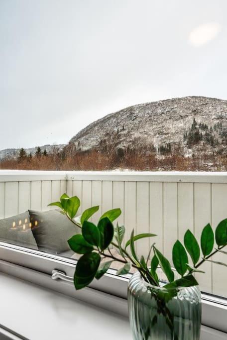Stor Og Moderne Leilighet I Indre Arna Bergen Gratis Parkering!! Exteriér fotografie